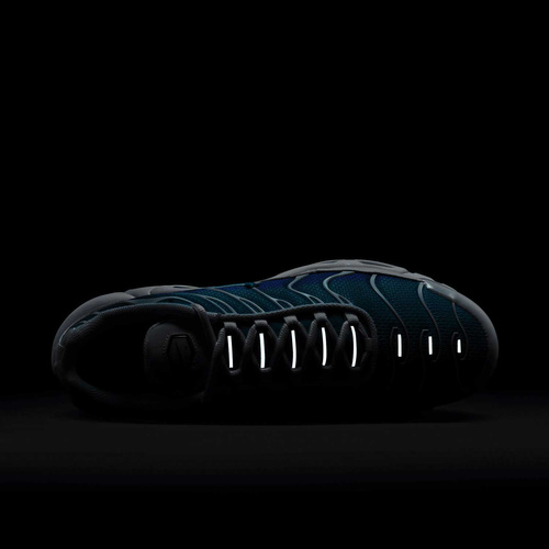 Buty męskie Nike Air Max Plus DM0032-102