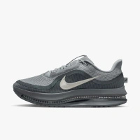 Buty męskie Nike Pegasus Premium HQ2592-013