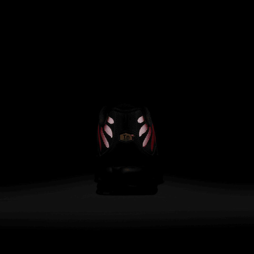 Buty męskie Nike Air Max Plus DZ4507-600