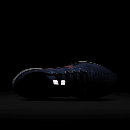 Buty męskie Nike Pegasus 41 FD2722-401