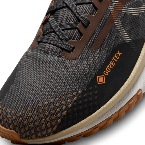 Buty męskie Nike Pegasus Trail 4 Gore-Tex FD5841-001