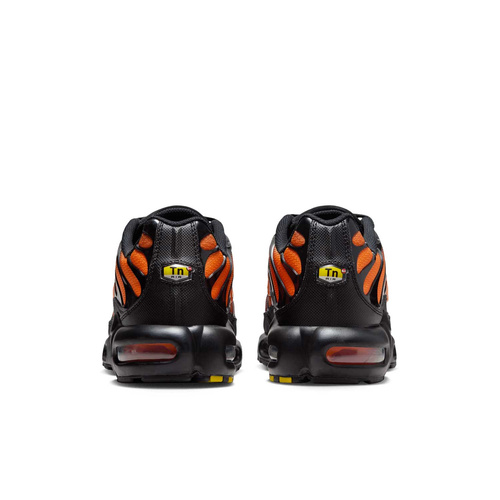 Buty męskie Nike Air Max Plus DM0032-025