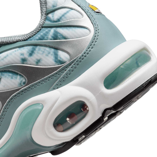 Buty męskie Nike Air Max Plus FV0394-300