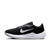 Buty damskie Nike Winflo 10 DV4023-003
