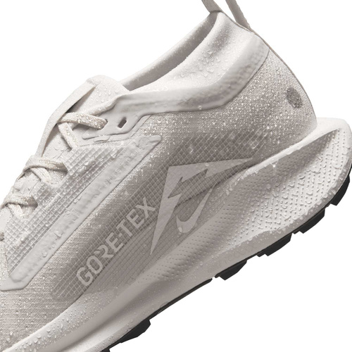 Buty damskie Nike Pegasus Trail 5 GORE-TEX FQ0912-008