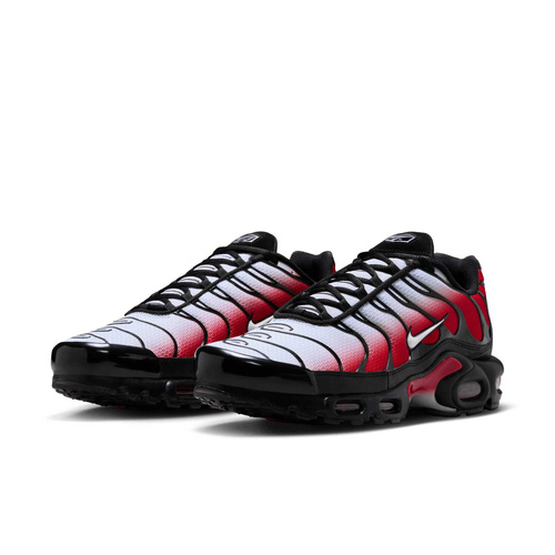Buty męskie Nike Air Max Plus DM0032-017