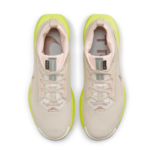 Buty damskie Nike Pegasus Trail 5 GORE-TEX FQ0912-101