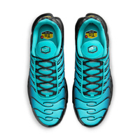 Buty męskie Nike Air Max Plus DM0032-401