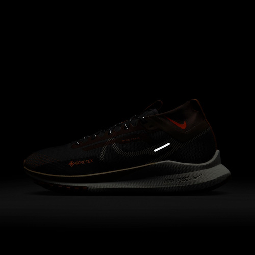 Buty męskie Nike Pegasus Trail 4 Gore-Tex FD5841-001