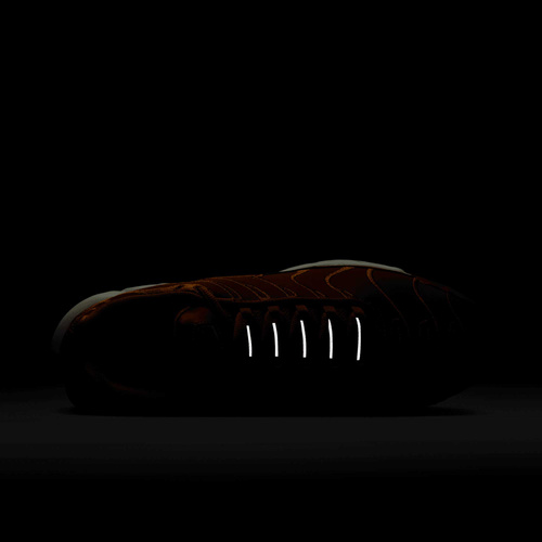 Buty męskie Nike Air Max Plus FZ8815-200