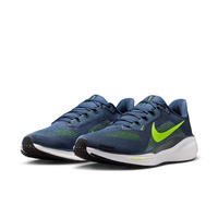 Buty męskie Nike Pegasus 41 FD2722-501