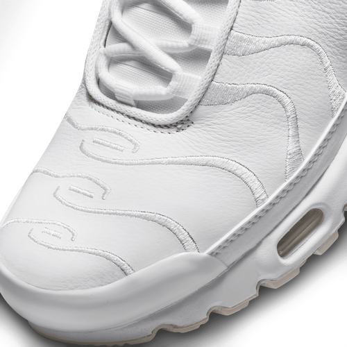 Buty męskie Nike Air Max Plus AJ2029-100