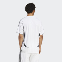 Koszulka męska adidas Adicolor Teamgeist JP1113