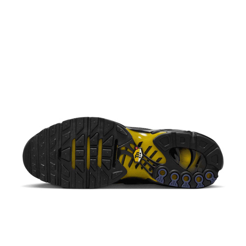 Buty męskie Nike Air Max Plus DM0032-023