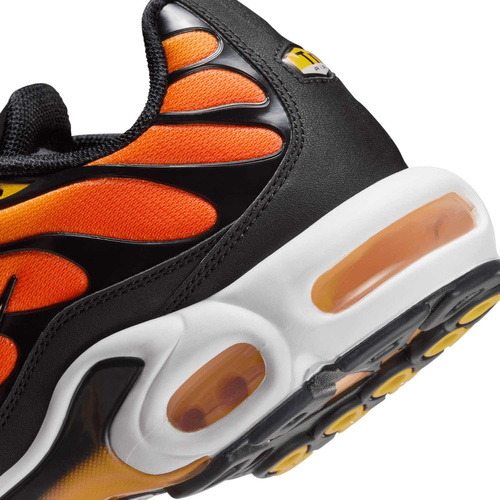 Buty męskie Nike Air Max Plus HF0552-001