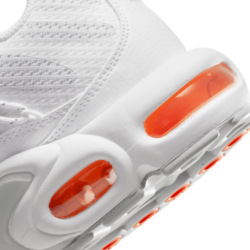 Buty męskie Nike Air Max Plus Utility FJ4232-100