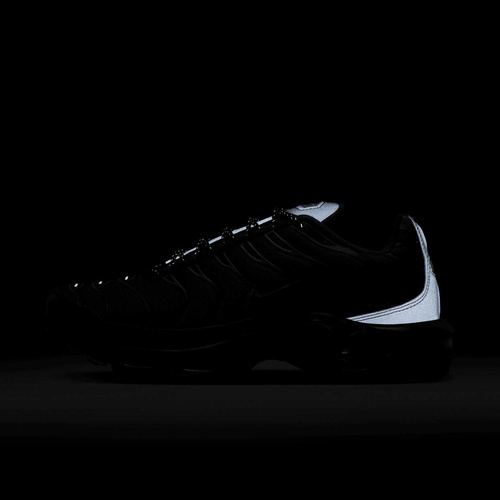 Buty męskie Nike Air Max Plus FV0385-001