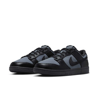Buty męskie Nike Dunk Low Retro SE FZ3052-001