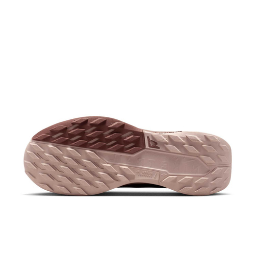 Buty damskie Nike Pegasus Trail 5 GORE-TEX FQ0912-601