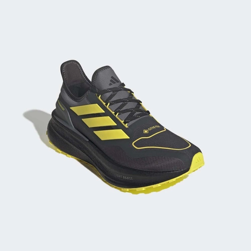 Buty męskie adidas Ultraboost 5 GTX JI3242