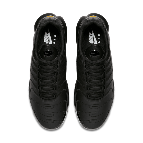 Buty męskie Nike Air Max Plus AJ2029-001