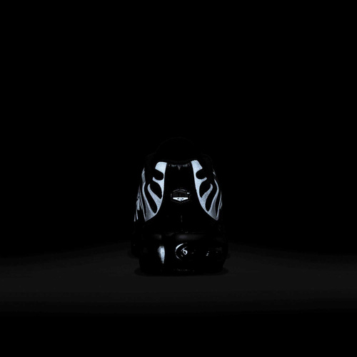 Buty damskie Nike Air Max Plus FB8479-001