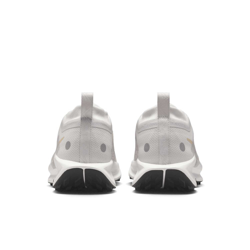 Buty damskie Nike Pegasus Trail 5 GORE-TEX FQ0912-008