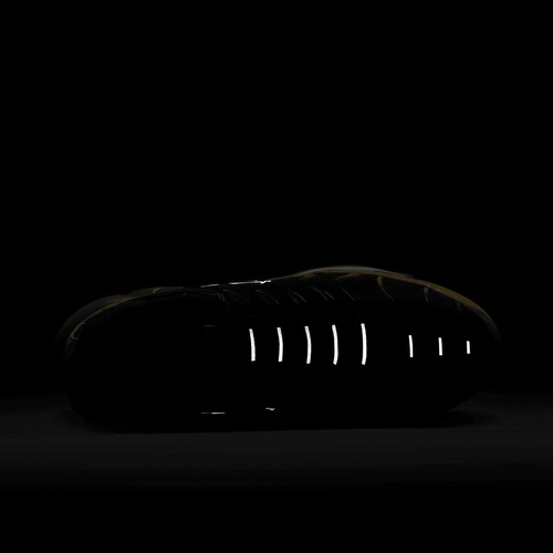 Buty męskie Nike Air Max Plus FB9722-700