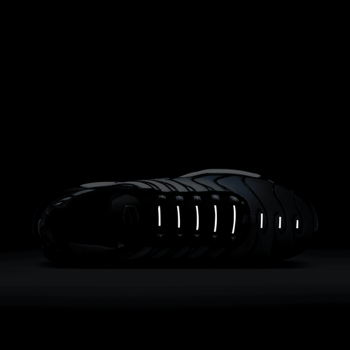 Buty męskie Nike Air Max Plus DX4326-001