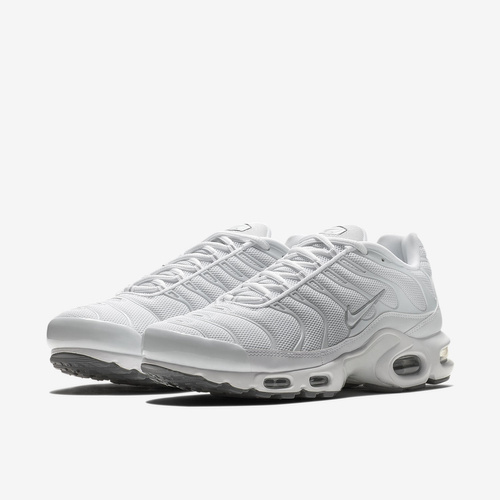 Buty sportowe męskie Nike Air Max Plus 604133-139