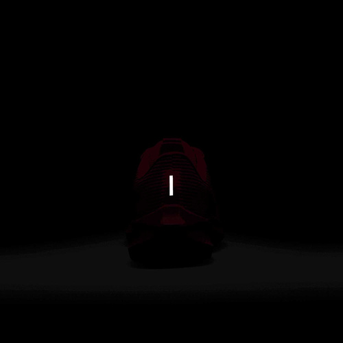 Buty damskie Nike Pegasus 40 DV3854-601