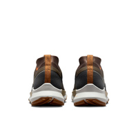 Buty męskie Nike Pegasus Trail 4 Gore-Tex FD5841-001