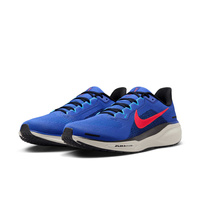 Buty męskie Nike Pegasus 41 FD2722-401