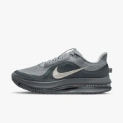 Buty męskie Nike Pegasus Premium HQ2592-013
