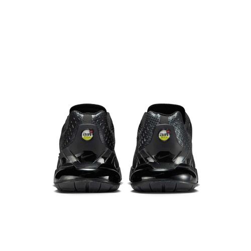 Buty męskie Nike Air Max Phoenix FZ5307-004