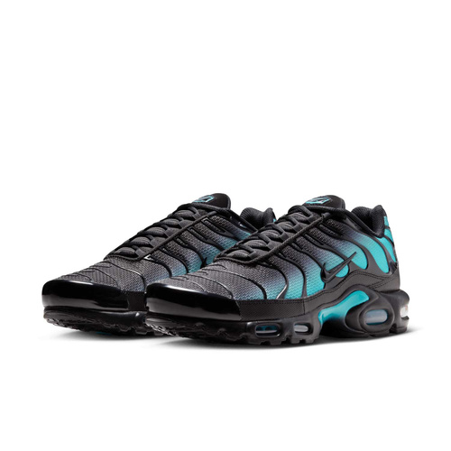 Buty męskie Nike Air Max Plus DM0032-016