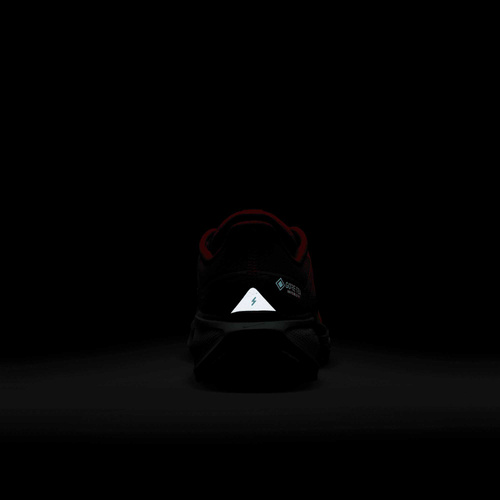 Buty męskie Nike Pegasus 41 GORE-TEX HM8872-600