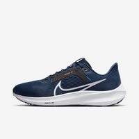 Buty męskie Nike Air Zoom Pegasus 40 DV3853-400