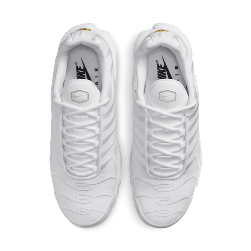 Buty męskie Nike Air Max Plus AJ2029-100