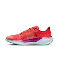 Buty męskie Nike Pegasus 41 GORE-TEX HM8872-600