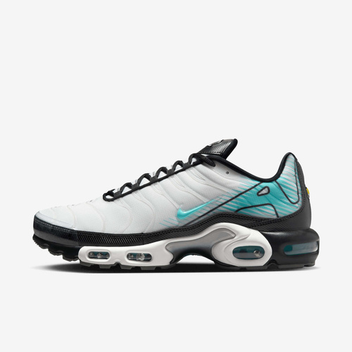 Buty męskie Nike Air Max Plus HV6225-100