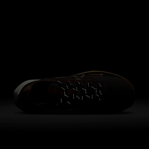 Buty męskie Nike Pegasus Trail 4 Gore-Tex FD5841-001