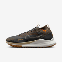 Buty męskie Nike Pegasus Trail 4 Gore-Tex FD5841-001