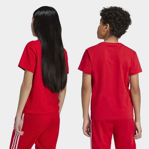 Koszulka Kids adidas Adicolor Trefoil IY7423