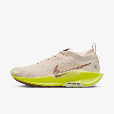 Buty damskie Nike Pegasus Trail 5 GORE-TEX FQ0912-101