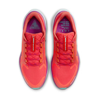 Buty męskie Nike Pegasus 41 GORE-TEX HM8872-600