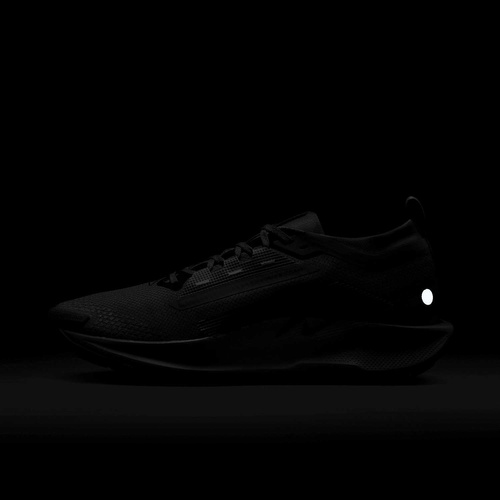 Buty męskie Nike Pegasus Trail 5 GORE-TEX FQ0908-006