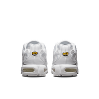 Buty męskie Nike Air Max Plus AJ2029-100