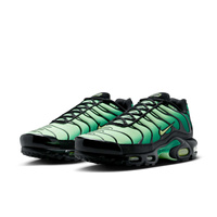 Buty męskie Nike Air Max Plus DM0032-301