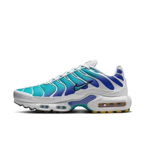 Buty męskie Nike Air Max Plus DM0032-102